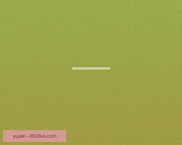 坚韧徽章的象征意义与其在挑战中激发的勇气与毅力分析